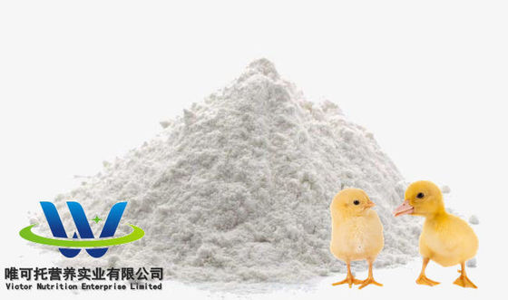 Polvo de L-lisina con certificación CCC de venta en caliente