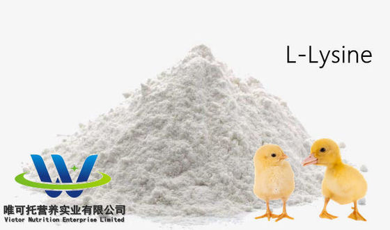 Calidad de alimento para animales Sulfato de HCl L Lísina 98,5% 70% Calidad de aditivo para alimentos para animales