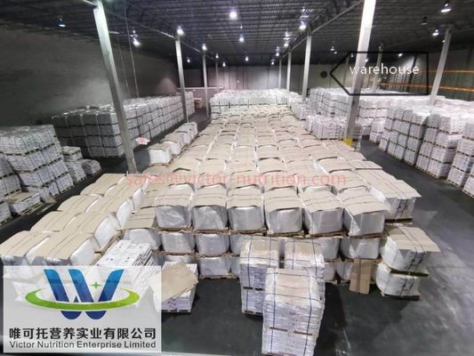 Grado alimenticio Vitamina E 50% en polvo CAS 7695-91-2 y plazo de validez 12 meses para piensos