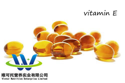 Vitamina Composición de los nutrientes Aceite sintético de vitamina E CAS 7695-91-2 EA-98